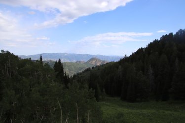 66.jpg 66.jpg