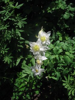 119.jpg 119.jpg