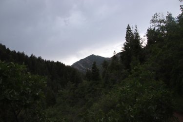 124.jpg 124.jpg