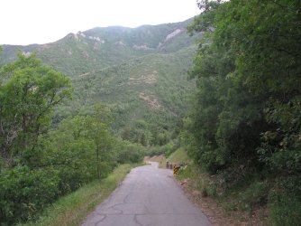 125.jpg 125.jpg