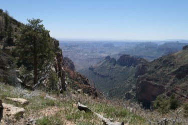 P1070702.JPG P1070702.JPG