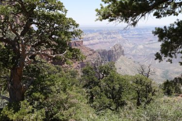 P1070718.JPG P1070718.JPG