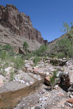 P1070758.JPG P1070758.JPG