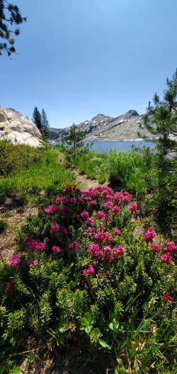 Emigrant_Lake_Area.jpg
