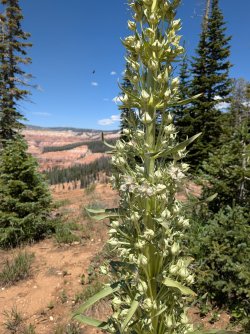 PXL_20250706_203052386.jpg