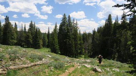 IMG_1681.JPG IMG_1681.JPG