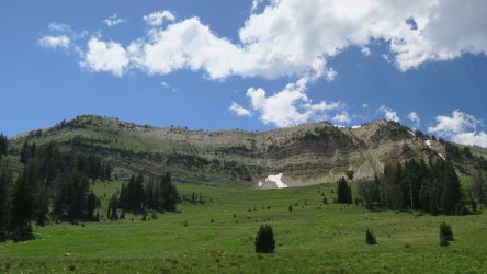 IMG_1685.JPG IMG_1685.JPG