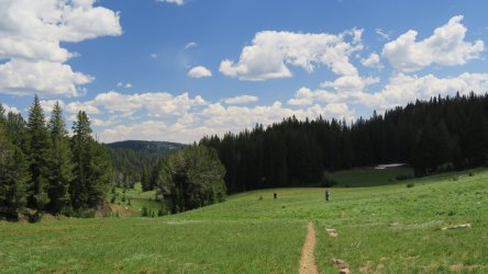 IMG_1687.JPG IMG_1687.JPG