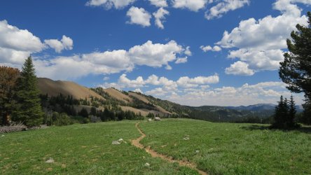 IMG_1690.JPG IMG_1690.JPG