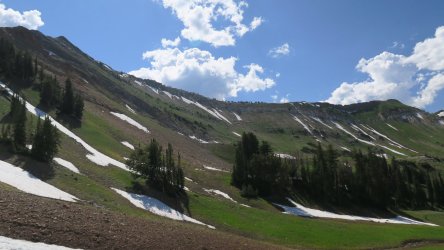 IMG_1701.JPG IMG_1701.JPG