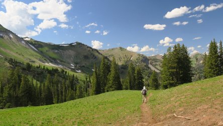 IMG_1702.JPG IMG_1702.JPG