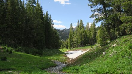 IMG_1705.JPG IMG_1705.JPG