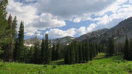 IMG_1707.JPG IMG_1707.JPG