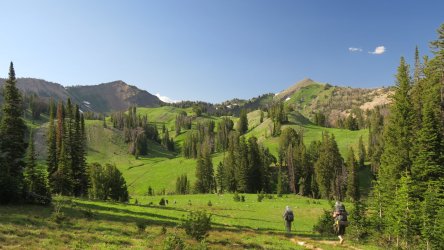 IMG_1709.JPG IMG_1709.JPG