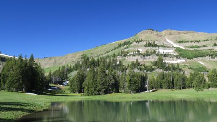 IMG_1727.JPG IMG_1727.JPG