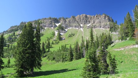 IMG_1736.JPG IMG_1736.JPG