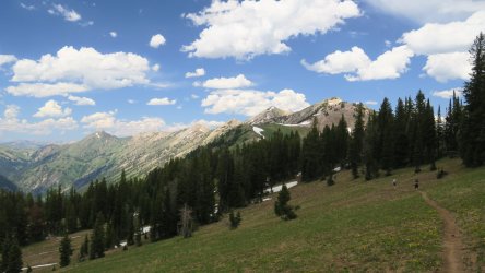 IMG_1754.JPG IMG_1754.JPG