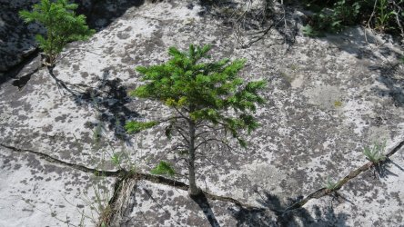 IMG_1777.JPG IMG_1777.JPG