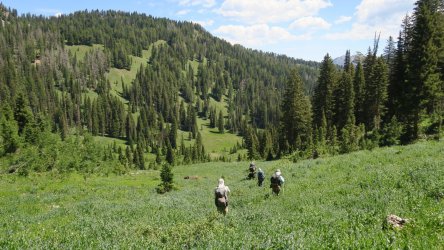 IMG_1779.JPG IMG_1779.JPG