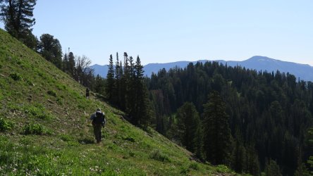 IMG_1790.JPG IMG_1790.JPG