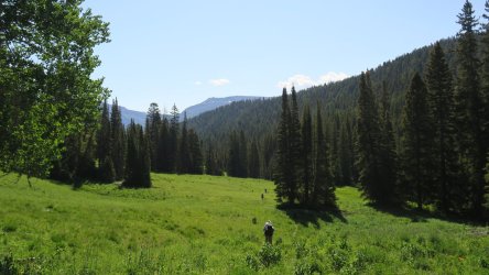 IMG_1796.JPG IMG_1796.JPG