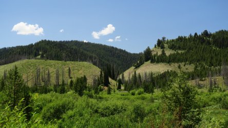 IMG_1799.JPG IMG_1799.JPG