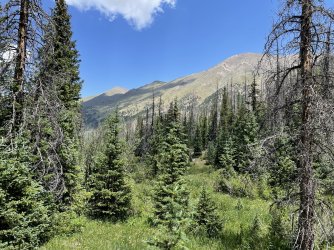 Henderson Gulch.jpeg Henderson Gulch.jpeg