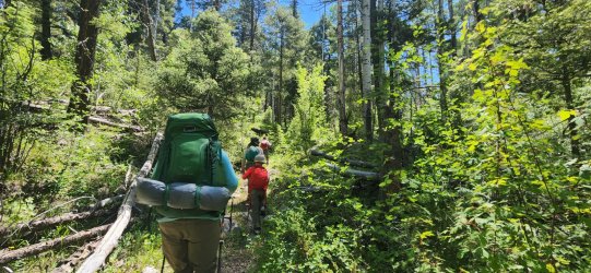 20250621_111932.jpg 20250621_111932.jpg