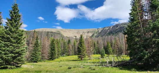 20250621_160451.jpg 20250621_160451.jpg