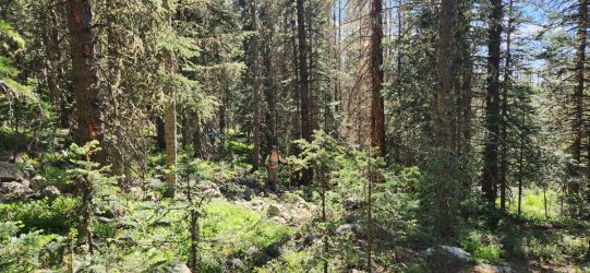 20250621_164604.jpg 20250621_164604.jpg