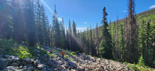 20250621_172120.jpg 20250621_172120.jpg