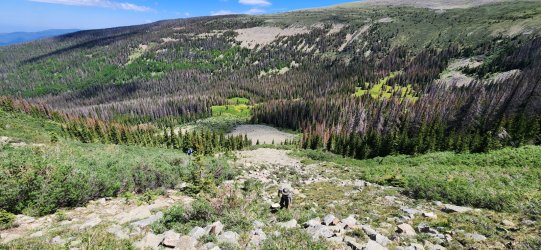 20250622_113029.jpg 20250622_113029.jpg