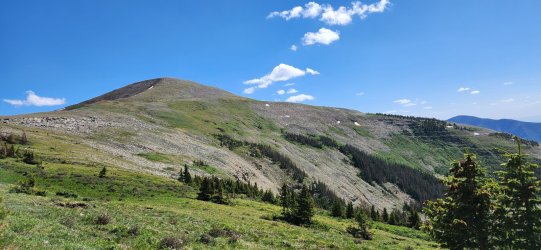 20250622_154725.jpg 20250622_154725.jpg