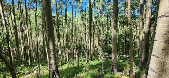 20250623_094914.jpg 20250623_094914.jpg