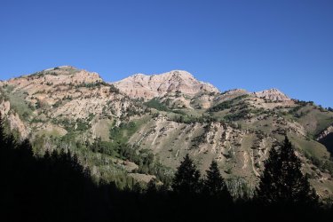 14.jpg 14.jpg
