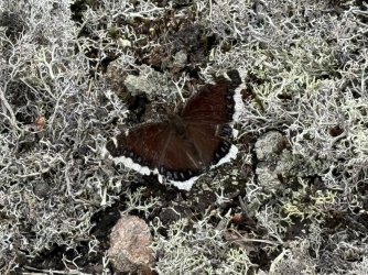 IMG_9878 2.jpeg IMG_9878 2.jpeg