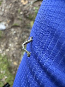 IMG_9974.jpeg IMG_9974.jpeg