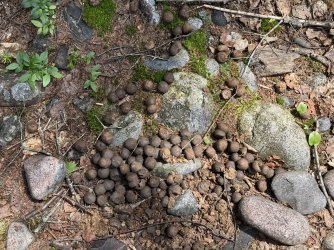 IMG_9828.jpeg IMG_9828.jpeg