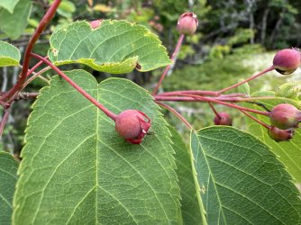 IMG_9861.jpeg IMG_9861.jpeg