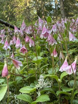 IMG_0048.jpeg IMG_0048.jpeg