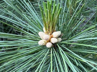 IMG_0015.jpeg IMG_0015.jpeg