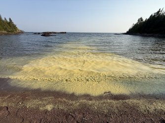 IMG_0052.jpeg IMG_0052.jpeg