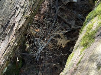 IMG_0200.jpeg IMG_0200.jpeg