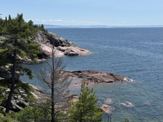 IMG_0193.jpeg IMG_0193.jpeg