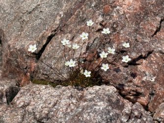 IMG_0181.jpeg IMG_0181.jpeg