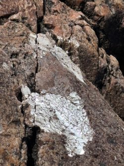 IMG_0177.jpeg IMG_0177.jpeg