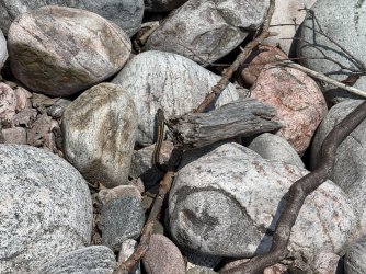 IMG_0220.jpeg IMG_0220.jpeg