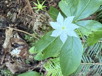 IMG_0169.jpeg IMG_0169.jpeg