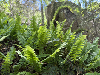 Screenshot 2025-07-17 at 5.15.01 PM.png Screenshot 2025-07-17 at 5.15.01 PM.png