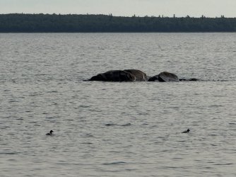 IMG_0282.jpeg IMG_0282.jpeg